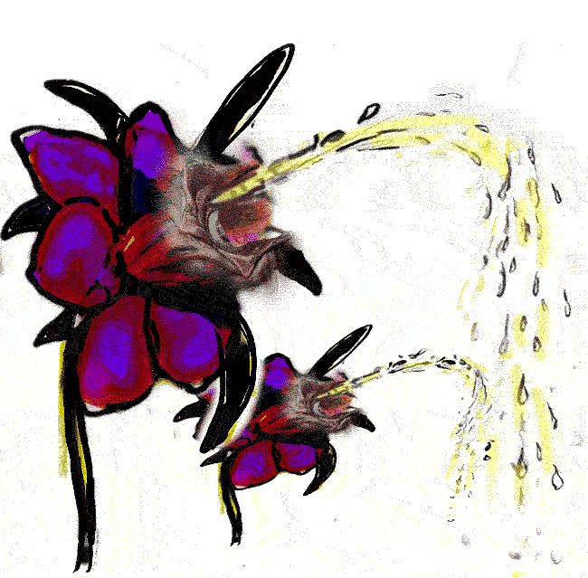 SQRRL